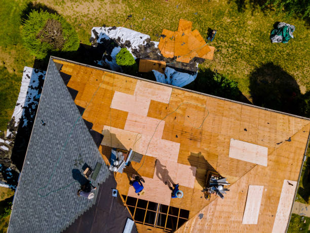 Quick and Trustworthy Emergency Roof Repair Services in London, CA